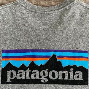 Patagonia P-6 Responsibili-Tee T-Shirt – Heather Gray XL
